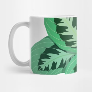 Maranta Green Mug